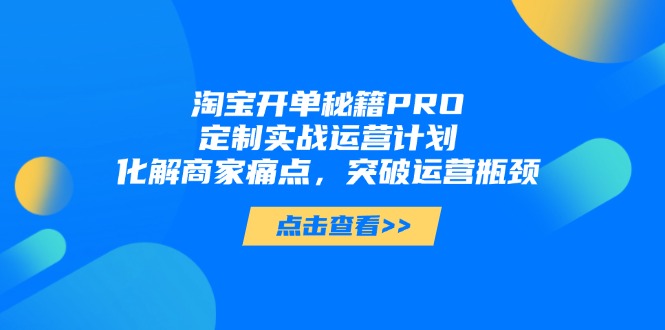 淘宝开单秘籍PRO，定制实战运营计划，化解商家痛点，突破运营瓶颈-创客副业