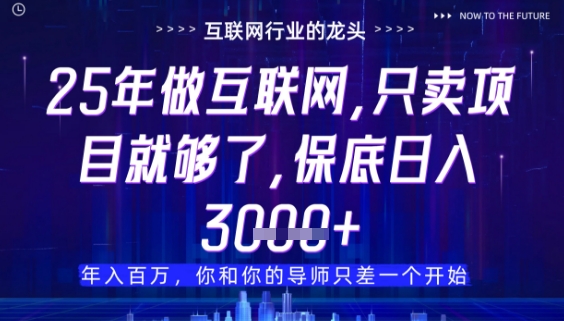 什么！25年你还在找项目做？风口早就变了，卖项目才是稳挣不赔【揭秘】-创客副业