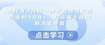 小红书3分钟一条作品精准引流创业粉300+，打造属于自己的流量帝国-创客副业