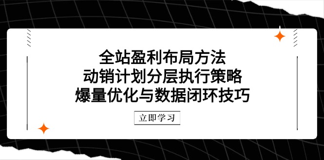 全站盈利布局方法：动销计划分层执行策略，爆量优化与数据闭环技巧-创客副业