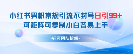 小红书男粉常规引流不封号日引99+变现简单 可矩阵可复制小白容易上手-创客副业
