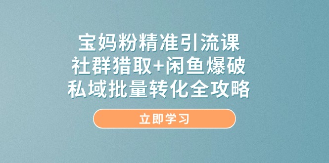 宝妈粉精准引流课，社群猎取+闲鱼爆破，私域批量转化全攻略-创客副业