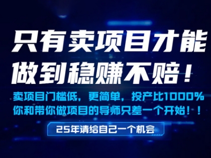 只有卖项目才能做到稳挣不赔,门槛低,更简单,你也可以年入百个W【揭秘】-创客副业