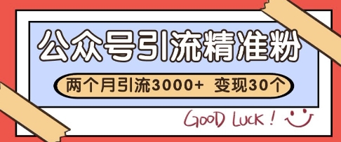 公众号精准粉引流玩法,2个月3000+精准粉,变现30个W【揭秘】-创客副业