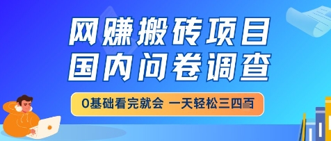 网创搬砖项目，国内问卷调查，小白轻松上手，一天三四张的也不难，干就完了【揭秘】-创客副业