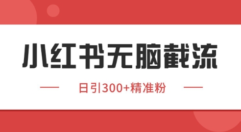小红书截流同行客源，独家野路子获客玩法 日引200+暴力获客【揭秘】-创客副业