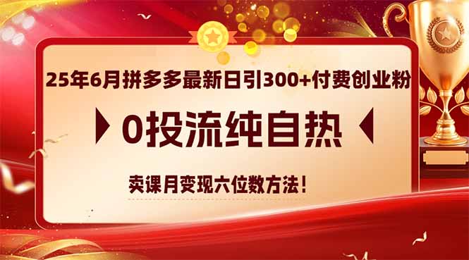 25年6月拼多多最新日引300+付费创业粉，0投流纯自热 卖课月变现六位数方法-创客副业