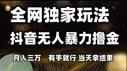 全网独家玩法抖音无人暴力撸金,月入3W,有手就行,当天拿结果【揭秘】-创客副业