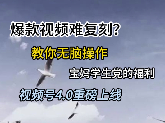 视频号4.0重磅上线,爆款视频难复刻?教你无脑操作宝妈学生党的福利【揭秘】-创客副业