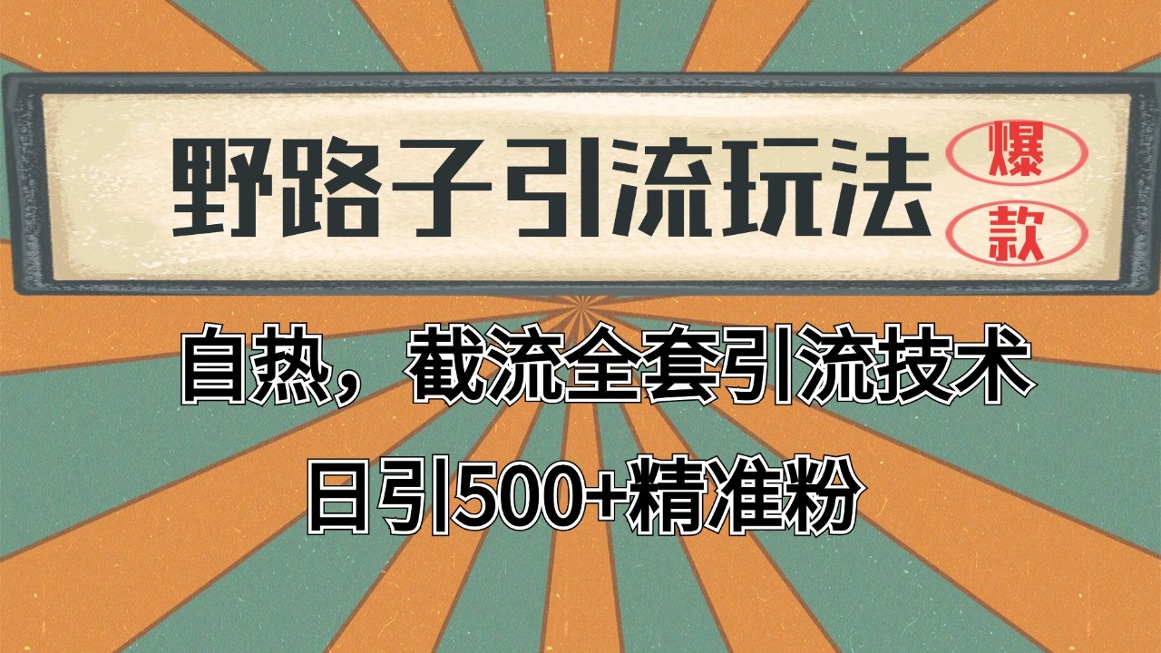 2024首发野路子引流玩法截流自热全平台打法,全自动引流【日引2000+精准客户】-创客副业