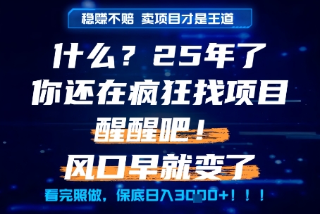 什么?25年你还在疯狂找项目做,醒醒吧,看完这些你全都懂了!【揭秘】-创客副业