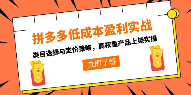 拼多多低成本盈利实战，类目选择与定价策略，高权重产品上架实操-创客副业