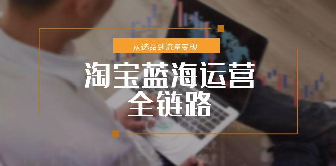 淘宝蓝海运营全链路,从选品到流量变现,小类目突围完整方案-创客副业