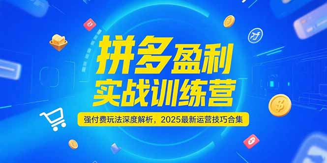 拼多多盈利实战训练营,强付费玩法深度解析,2025运营技巧合集-更新6月-创客副业