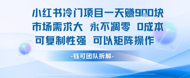 小红书冷门项目一天收益9张，市场需求大，0成本，可复制性强可以矩阵操作-创客副业
