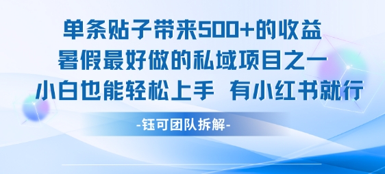 单条贴子带来5张的收益，暑假最好做的私域项目之一，小白也能轻松上手，有小红书就行-创客副业