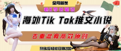 海外tiktok小说推文暴力项目,高停留率,高转化率,上手后一天搞顿饭钱不是问题-创客副业