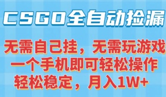 CSGO自动捡漏项目，最新独家玩法，一个手机可操作，新手小白轻松月入1W+，操作简单易上手【揭秘】-创客副业
