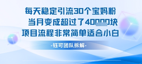 每天稳定引流30个人 当月变成超过了4个W项目流程非常简单适合小白-创客副业