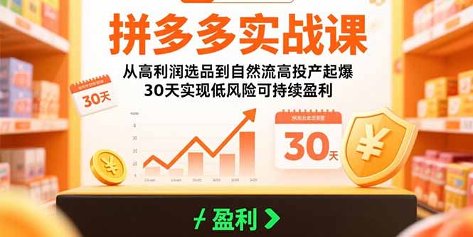 拼多多实战课：从高利润选品到自然流高投产起爆 30天实现低风险可持续盈利-创客副业