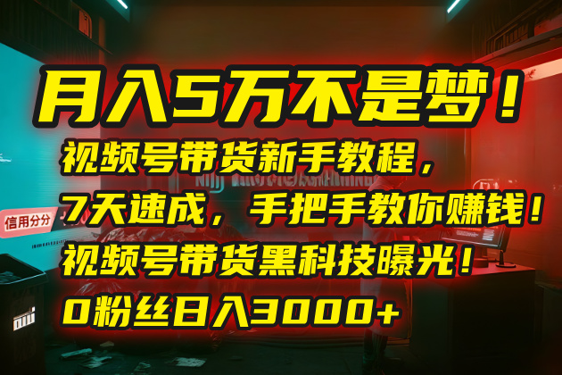 月入5万不是梦！视频号带货新手教程，7天速成，手把手教你赚钱！视频号…-创客副业