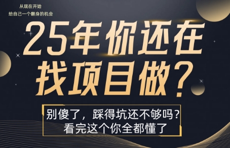 25年，你还在疯狂的找项目吗？别傻了，看完这个你都懂了【揭秘】-创客副业