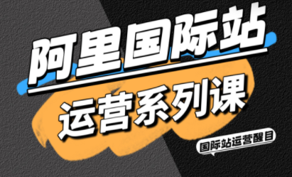 醒目老师·阿里国际站运营系列课(更新11月)-创客副业