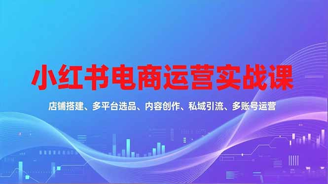 小红书电商运营实战课，店铺搭建、多平台选品、内容创作、私域引流、多账号运营等玩法-创客副业