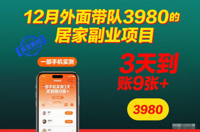 12月外面带队3980的居家副业项目，一部手机实测3天到账9张+，首发教程【揭秘】-创客副业