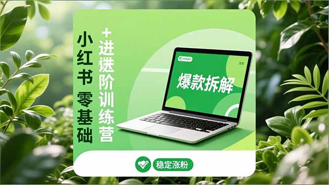 小红书零基础+高阶训练营：安全养号、爆款拆解、长效运营，实现稳定涨粉与变现-创客副业