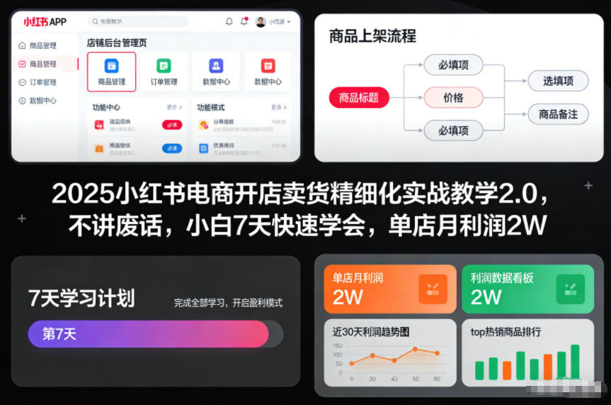 2025小红书电商开店卖货精细化实战教学2.0,不讲废话,小白7天快速学会,单店月利润2W-创客副业