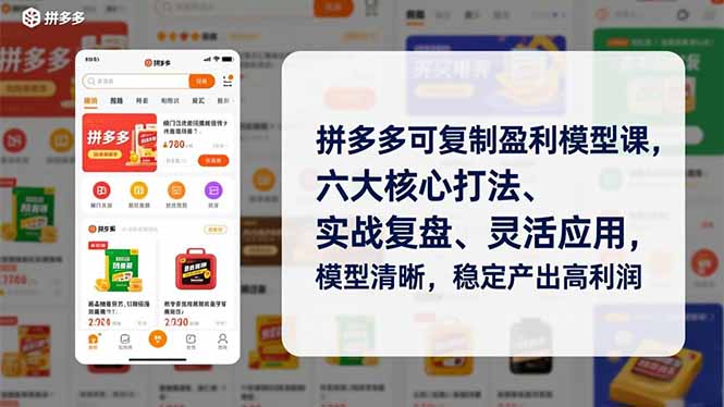 拼多多可复制盈利模型课,六大核心打法、实战复盘、灵活应用,模型清晰,稳定产出高利润-创客副业