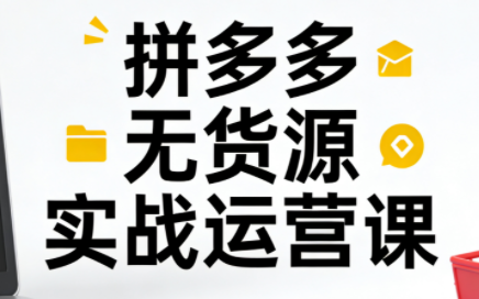 子枫老师·拼多多无货源实战运营课(更新12月)-创客副业