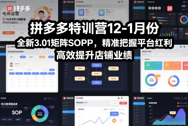 拼多多特训营12-1月份，全新3.01矩阵Sop，精准把握平台红利，高效提升店铺业绩-创客副业