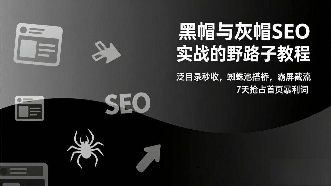 黑帽与灰帽SEO实战的野路子教程：泛目录秒收，蜘蛛池搭桥，霸屏截流，7天抢占首页暴利词-创客副业