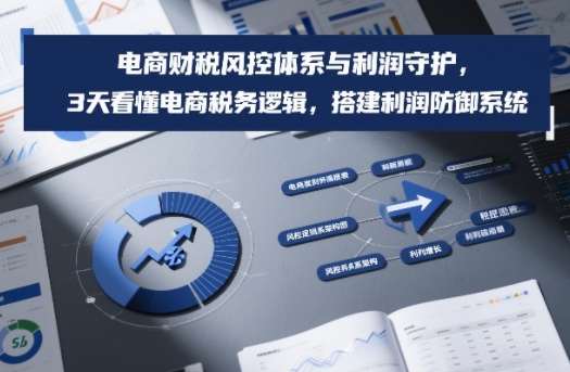 电商财税风控体系与利润守护，3天看懂电商税务逻辑，搭建利润防御系统-创客副业