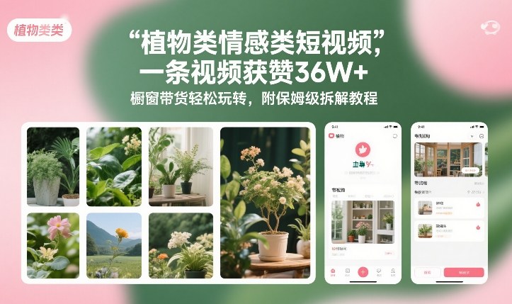 植物类情感类短视频，一条视频获赞36W+，橱窗带货轻松玩转，附保姆级拆解教程-创客副业