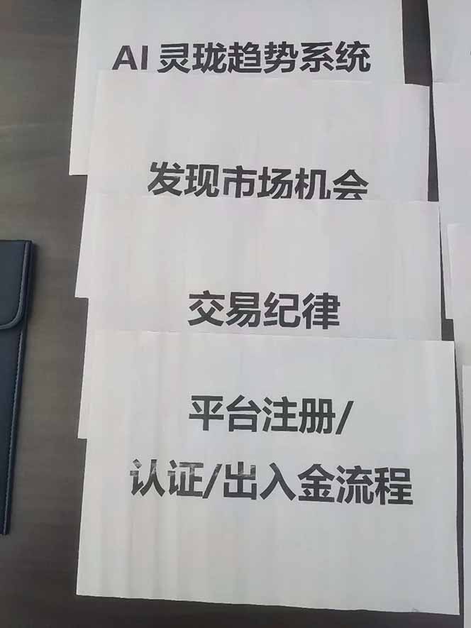 图片[3]-海外美金AI掘金项目，200U可入门槛，一天一单即可，每天1000-2000很轻松！-创客副业